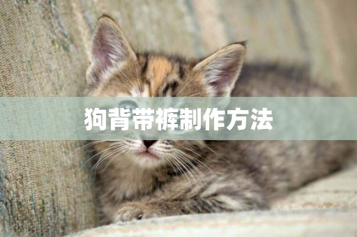 狗背帶褲制作方法