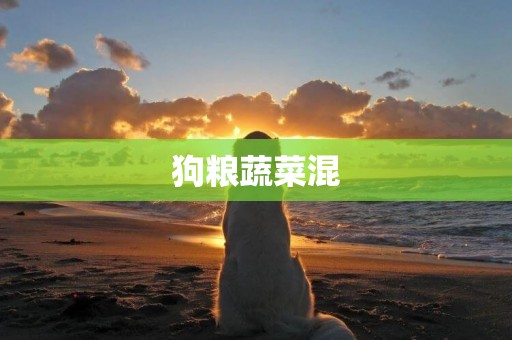 狗糧蔬菜混
