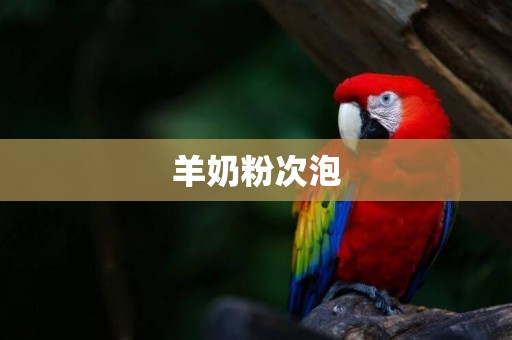 羊奶粉次泡