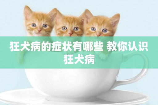狂犬病的癥狀有哪些 教你認識狂犬病