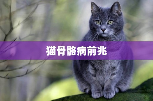 貓骨骼病前兆