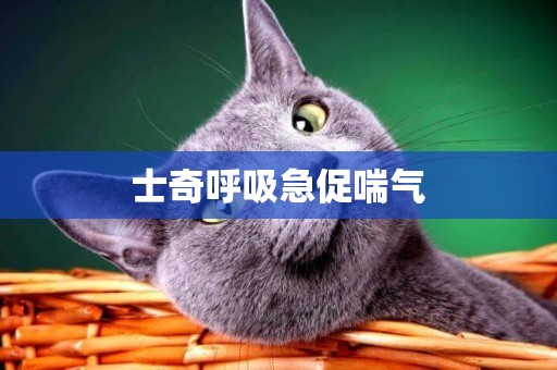 士奇呼吸急促喘氣