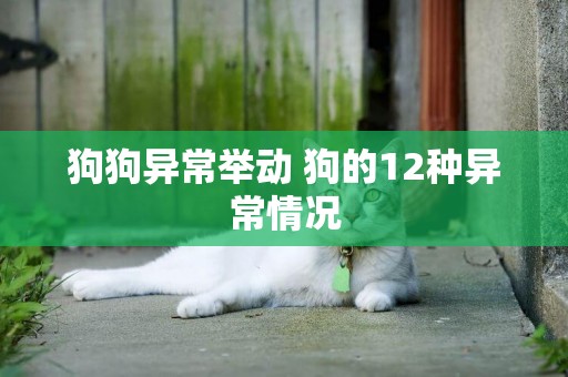 狗狗異常舉動 狗的12種異常情況