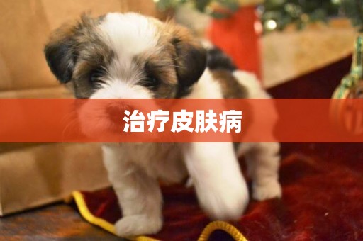 治療皮膚病