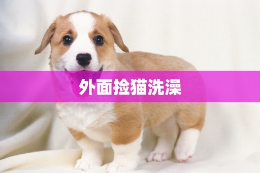 外面撿貓洗澡