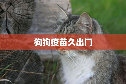 狗狗疫苗久出門