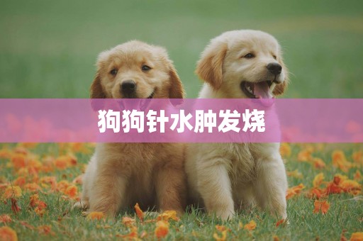 狗狗針水腫發燒