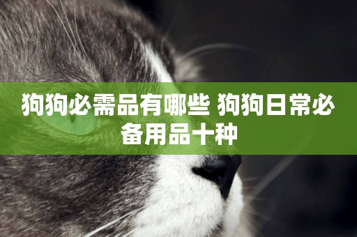 狗狗必需品有哪些 狗狗日常必備用品十種