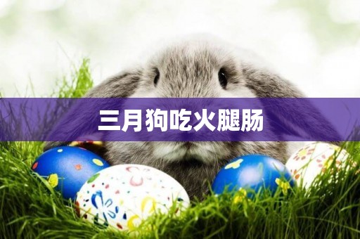 三月狗吃火腿腸