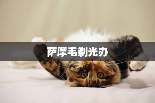 薩摩毛剃光辦