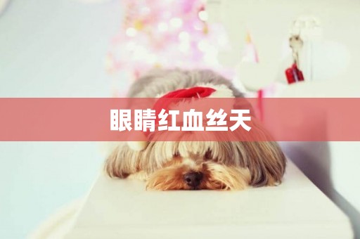 眼睛紅血絲天