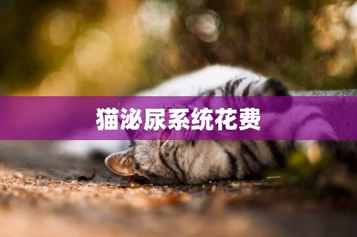 貓泌尿系統花費