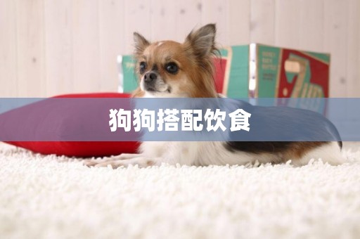 狗狗搭配飲食