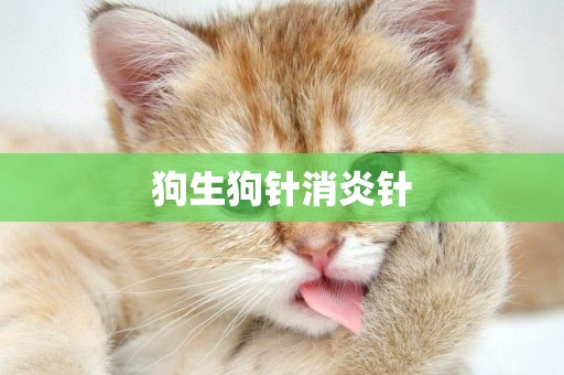 狗生狗針消炎針