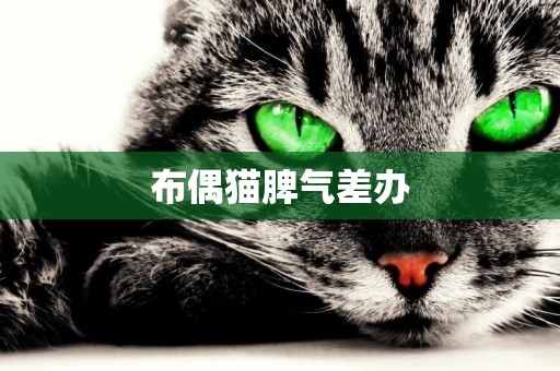 布偶貓脾氣差辦