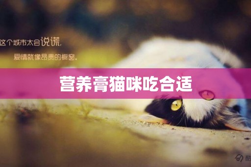 營養膏貓咪吃合適