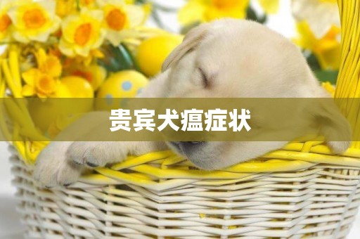 貴賓犬瘟癥狀