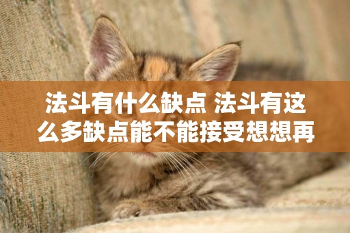 法斗有什么缺點 法斗有這么多缺點能不能接受想想再說
