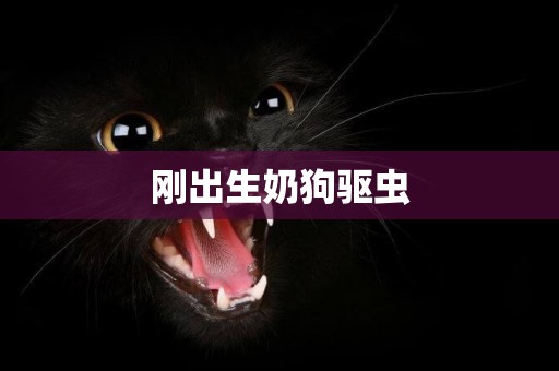 剛出生奶狗驅蟲