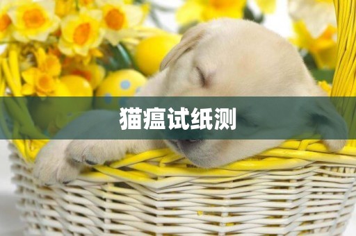 貓瘟試紙測