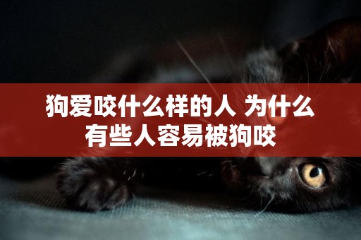 狗愛咬什么樣的人 為什么有些人容易被狗咬