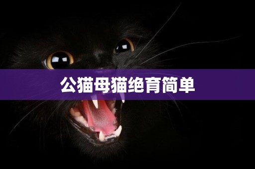 公貓母貓絕育簡單