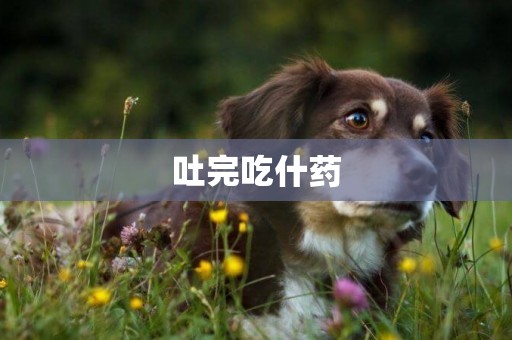 吐完吃什藥