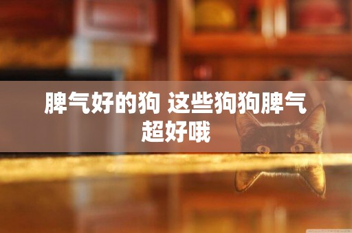脾氣好的狗 這些狗狗脾氣超好哦