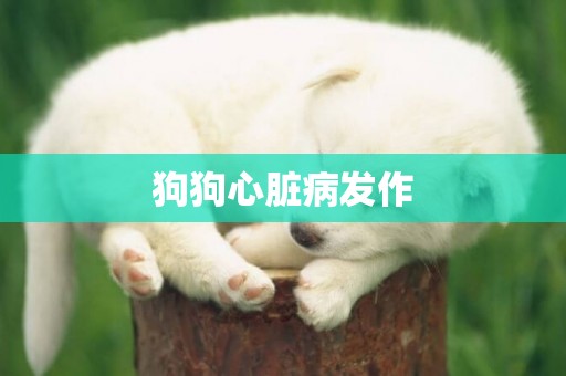 狗狗心臟病發作