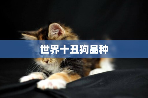 世界十丑狗品種