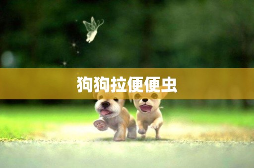 狗狗拉便便蟲