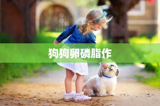 狗狗卵磷脂作