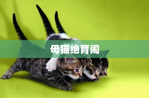 母貓絕育鬧