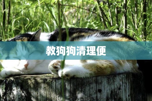 教狗狗清理便