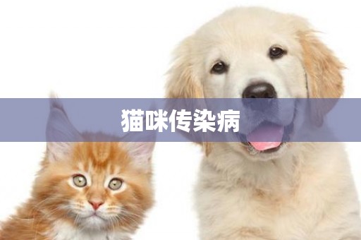 貓咪傳染病