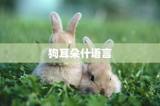 狗耳朵什語言