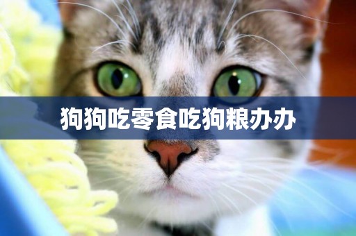 狗狗吃零食吃狗糧辦辦