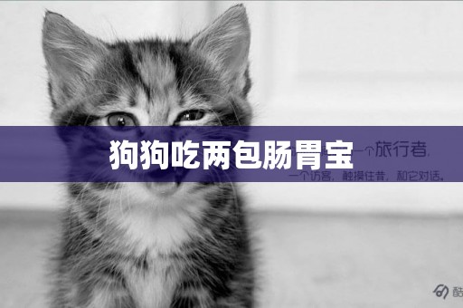 狗狗吃兩包腸胃寶