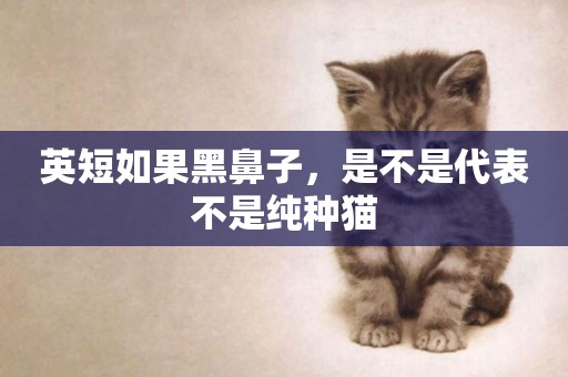 英短如果黑鼻子，是不是代表不是純種貓