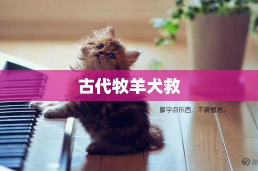 古代牧羊犬救