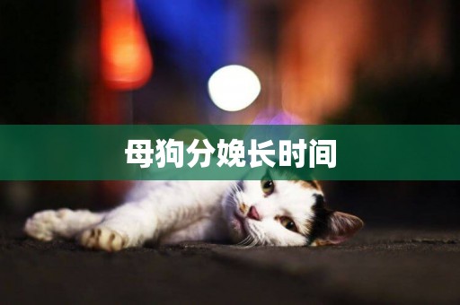 母狗分娩長時間