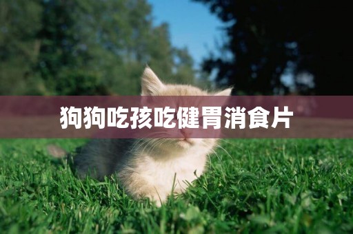 狗狗吃孩吃健胃消食片