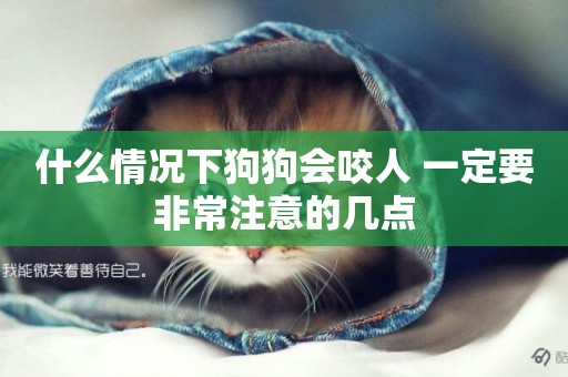 什么情況下狗狗會咬人 一定要非常注意的幾點