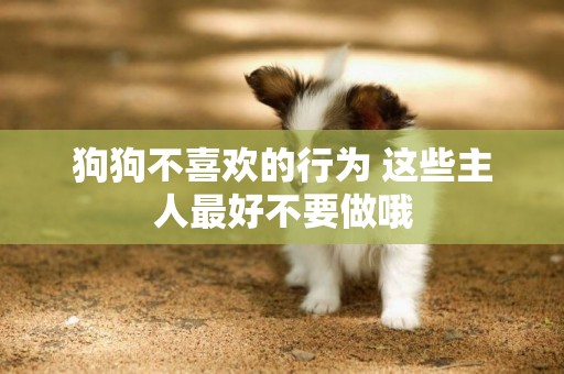 狗狗不喜歡的行為 這些主人最好不要做哦