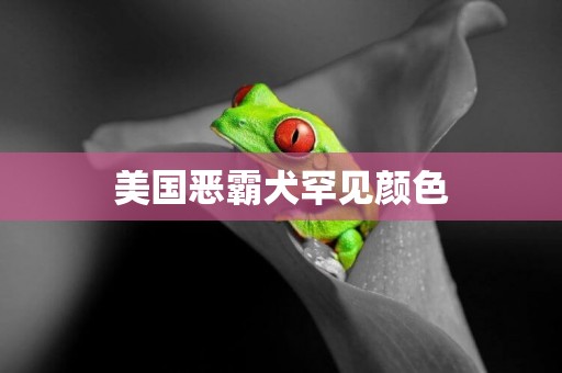 美國惡霸犬罕見顏色
