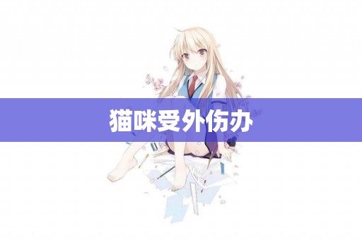 貓咪受外傷辦