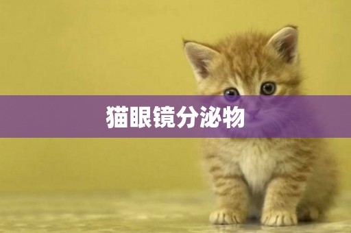 貓眼鏡分泌物
