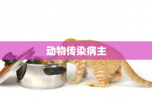 動物傳染病主