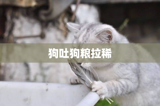 狗吐狗糧拉稀