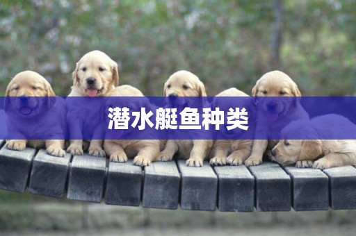 潛水艇魚種類